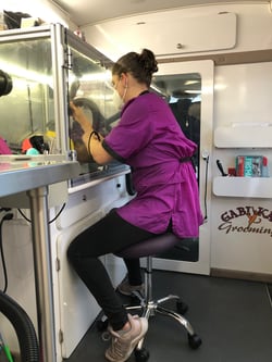 Destiny helping a cat get dry in the Catty Shack Vac