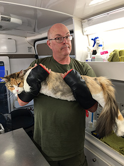 We groom some big kitties