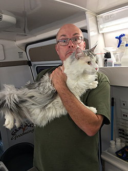 We groom some big kitties