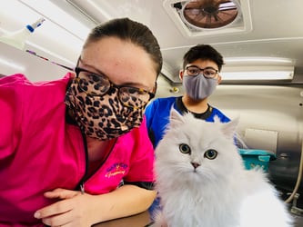 A 4-month old kitten starting her regular grooming with Irma and Dair.